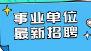 云溪后备储备干部招聘,打造未来领导力精英团队