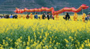 花漾开化,探寻花开盛景下的文化传承与创新发展